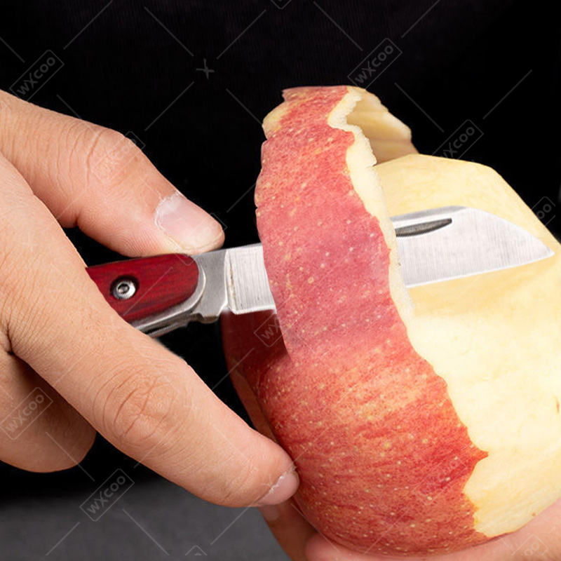Edelstahl-Taschenmesser, Obstm – Kitchen Gadgets Pakistan Bewertung und Preis