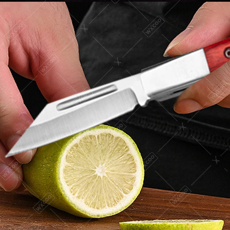 Edelstahl-Taschenmesser, Obstm – Kitchen Gadgets Pakistan Bewertung und Preis